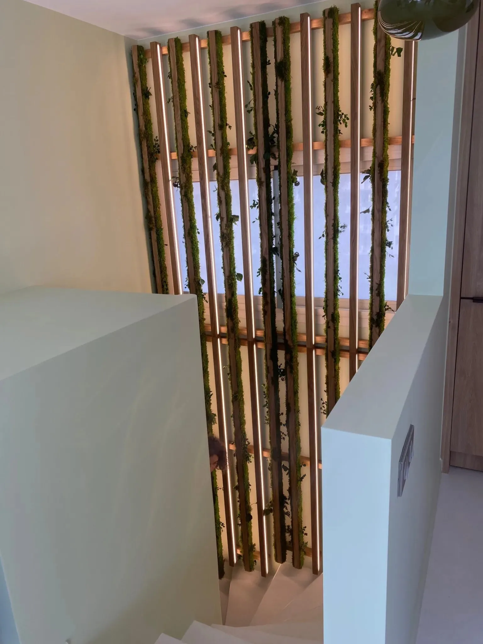 Décoration intérieure, vue 8 — Cocon Tout doux