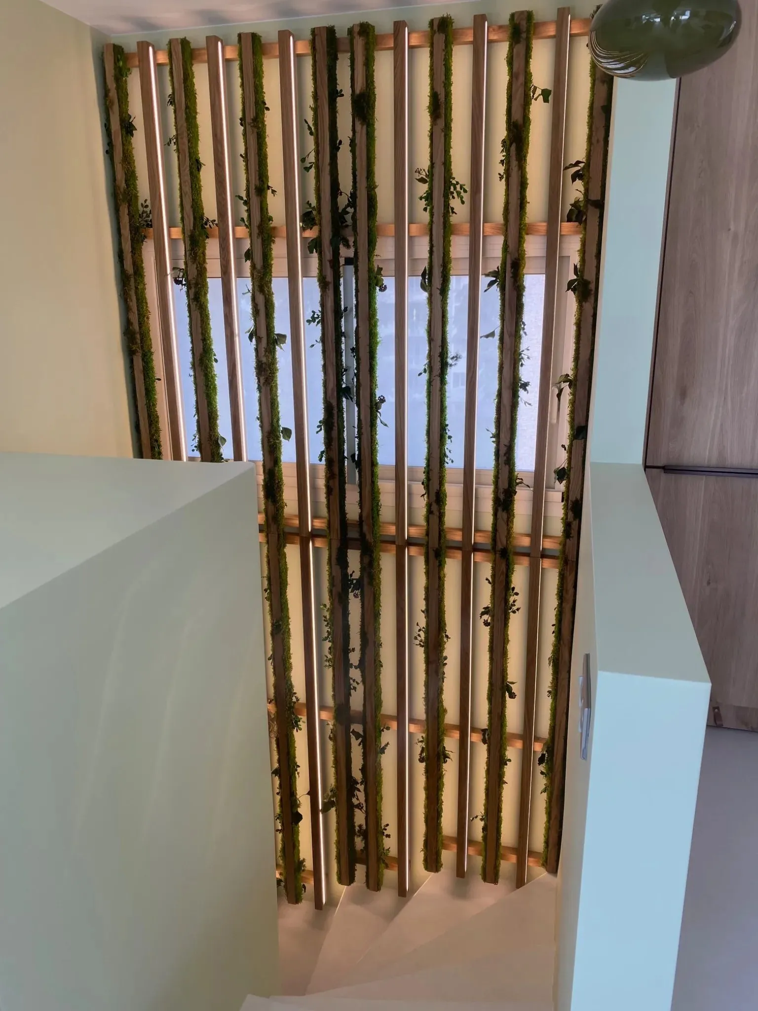 Décoration intérieure, vue 7 — Cocon Tout doux