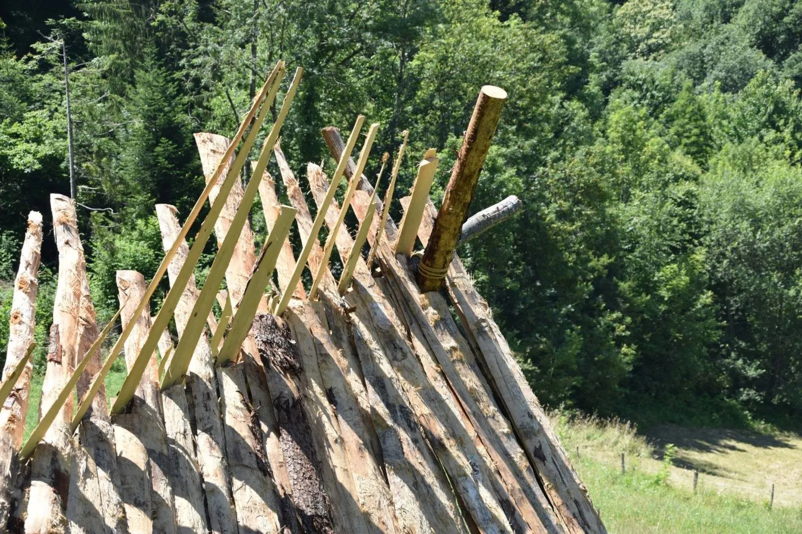 Construction primitive, vue 7 — Festival des cabannes 2018